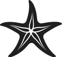 bord de mer splendeur noir étoile de mer conception aquatique sérénité étoile de mer iconique glyphe vecteur
