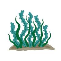 algues sur fond marin. sous-marin paysage. les plantes et algue avec longue feuilles. aquarium icône isolé sur blanc Contexte. élément de le mer et tropical l'eau vecteur