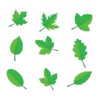 plat conception vert feuilles pack sur blanc vecteur