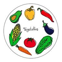 main tiré illustration de coloré des légumes sur une assiette dans dessin animé style. une ensemble de des légumes à décorer plats, tissus et Ménage articles. vecteur