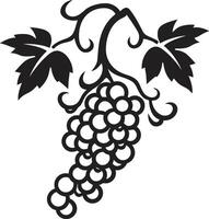 vigne unité noir fructueux lien vigne emblème vecteur