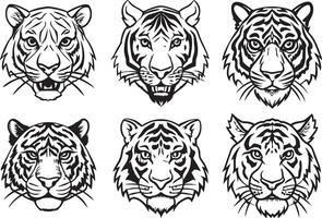 tigre tête - noir et blanc illustration, isolé sur blanc Contexte vecteur