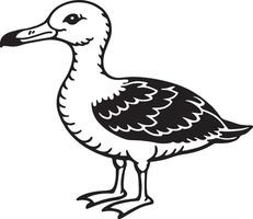 noir et blanc dessin animé illustration de mouette oiseau pour coloration livre vecteur