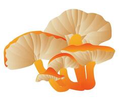 chanterelle champignons dans herbe dans plat conception. champignon avec Orange casquettes. illustration isolé. vecteur