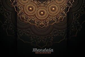 luxe mandala décoration sur noir Contexte vecteur