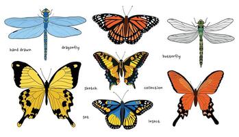 papillons et libellules main tiré collection pour autocollants, impressions, cartes, affiches, agrafe art, décor, fond d'écran, etc. eps dix vecteur