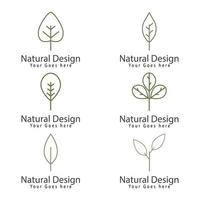 modèle de logo feuille icône vector illustration design