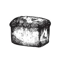 graphique illustration de pain . noir et blanc esquisser sur une blanc Contexte. adapté pour logo, boulangerie conception, emballage papier vecteur
