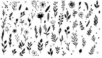 griffonnage encre floral esquisser ensemble. illustration noir et blanc plante noir et blanc la nature. graphique élément décoration botanique abstrait simple. silhouette collection botanique dessin vecteur