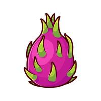 Frais dragon fruit illustration vecteur