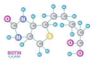 biotine vitamine b7 molécule structure formule illustration vecteur