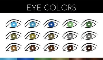 yeux vecteurs avec œil Couleur échantillons vecteur