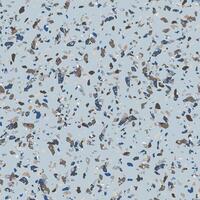 lumière bleu terrazzo pierre texture sans couture modèle conception vecteur