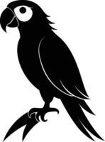 noir perroquet silhouette sur blanc Contexte illustration vecteur
