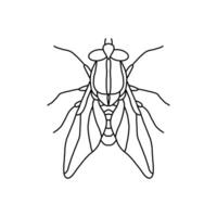 mouche insecte contour icône.fly ligne art illustration. griffonnage ligne graphique conception. noir et blanc dessin insecte. vecteur