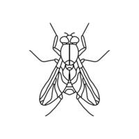 mouche insecte contour icône.fly ligne art illustration. griffonnage ligne graphique conception. noir et blanc dessin insecte. vecteur