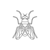 mouche insecte contour icône.fly ligne art illustration. griffonnage ligne graphique conception. noir et blanc dessin insecte. vecteur