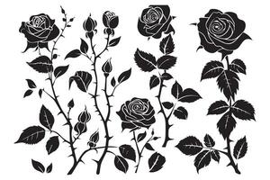 ensemble de Rose silhouettes illustration vecteur