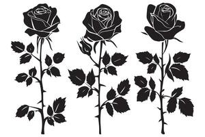 ensemble de Rose silhouettes illustration vecteur