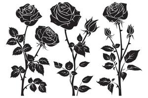 ensemble de Rose silhouettes illustration vecteur