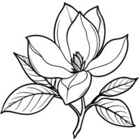 magnolia fleur contour illustration coloration livre page conception, magnolia fleur noir et blanc ligne art dessin coloration livre pages pour les enfants et adultes vecteur