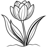 tulipe fleur contour illustration coloration livre page conception, tulipe fleur noir et blanc ligne art dessin coloration livre pages pour les enfants et adultes vecteur