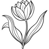 tulipe fleur contour illustration coloration livre page conception, tulipe fleur noir et blanc ligne art dessin coloration livre pages pour les enfants et adultes vecteur