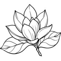 magnolia fleur contour illustration coloration livre page conception, magnolia fleur noir et blanc ligne art dessin coloration livre pages pour les enfants et adultes vecteur