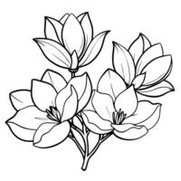 magnolia fleur contour illustration coloration livre page conception, magnolia fleur noir et blanc ligne art dessin coloration livre pages pour les enfants et adultes vecteur