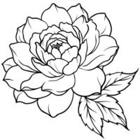 pivoine fleur contour illustration coloration livre page conception, pivoine fleur noir et blanc ligne art dessin coloration livre pages pour les enfants et adultes vecteur