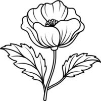 coquelicot fleur contour illustration coloration livre page conception, coquelicot fleur noir et blanc ligne art dessin coloration livre pages pour les enfants et adultes vecteur