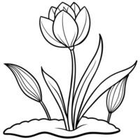 tulipe fleur contour illustration coloration livre page conception, tulipe fleur noir et blanc ligne art dessin coloration livre pages pour les enfants et adultes vecteur