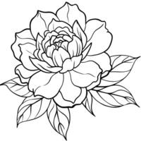 pivoine fleur contour illustration coloration livre page conception, pivoine fleur noir et blanc ligne art dessin coloration livre pages pour les enfants et adultes vecteur