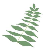 peu branche avec vert feuilles plus de blanc Contexte. graphique. ouvrages d'art conception élément. dessin animé conception pour affiche, icône, carte, logo, étiqueter. vecteur