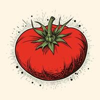 tomate ancien gravé style vecteur