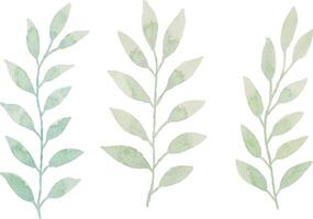 assortiment de aquarelle feuilles illustration ensemble - vert feuille branches collection pour mariage, salutations, Stationnaire, fonds d'écran, mode, Contexte. olive, vert feuilles, eucalyptus etc vecteur