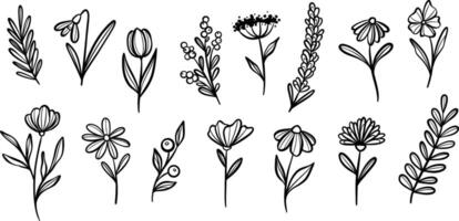 plante illustration ensemble, fleur griffonnages, botanique agrafe art ensemble, isolé vecteur