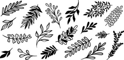 feuille illustration ensemble, plante agrafe art, main tiré ligne art croquis, moderne isolé griffonnage collection vecteur
