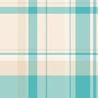 textile conception de texturé plaid. à carreaux en tissu modèle échantillon pour chemise, robe, costume, emballage papier imprimer, invitation et cadeau carte. vecteur