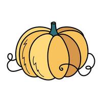 mignonne Jaune l'automne citrouille. main tiré illustration pour Halloween et action de grâces décoration. vecteur