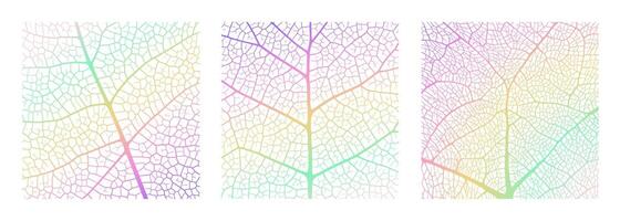 feuille veine texture abstrait Contexte avec proche en haut plante feuille cellules ornement texture modèle. vecteur