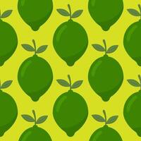 citron vert sans couture modèle. fruit Contexte. vecteur