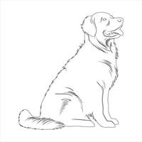 main tiré d'or retriever chien contour illustration vecteur