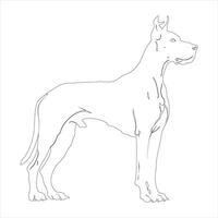 main tiré génial Danois chien contour illustration vecteur