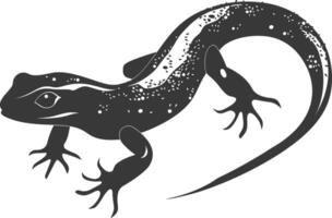 silhouette salamandre animal noir Couleur seulement vecteur