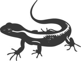 silhouette salamandre animal noir Couleur seulement vecteur