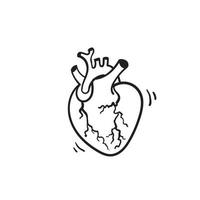 coeur humain isolé vecteur dessiné à la main. coeur anatomiquement correct avec système veineux.doodle
