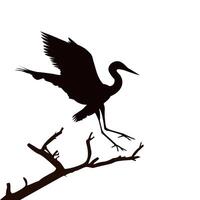 silhouette grue oiseau ou héron en volant icône vecteur