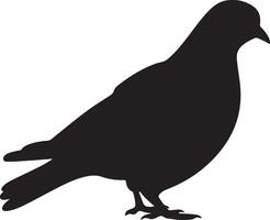 Pigeon silhouette illustration blanc Contexte vecteur