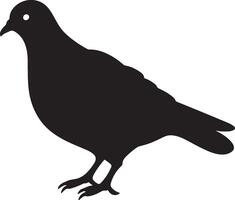 Pigeon silhouette illustration blanc Contexte vecteur